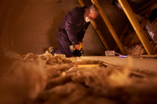 Best Geographic-Specific Insulation Services in Marlow Heights, MD